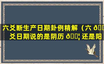 六爻断生产日期卦例精解（六 🕷 爻日期说的是阴历 🐦 还是阳历）